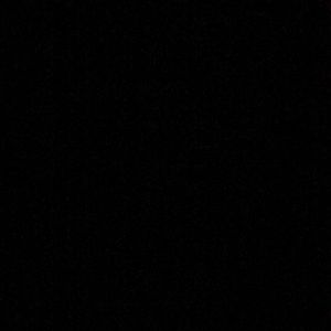 Meet your Posher, Larry